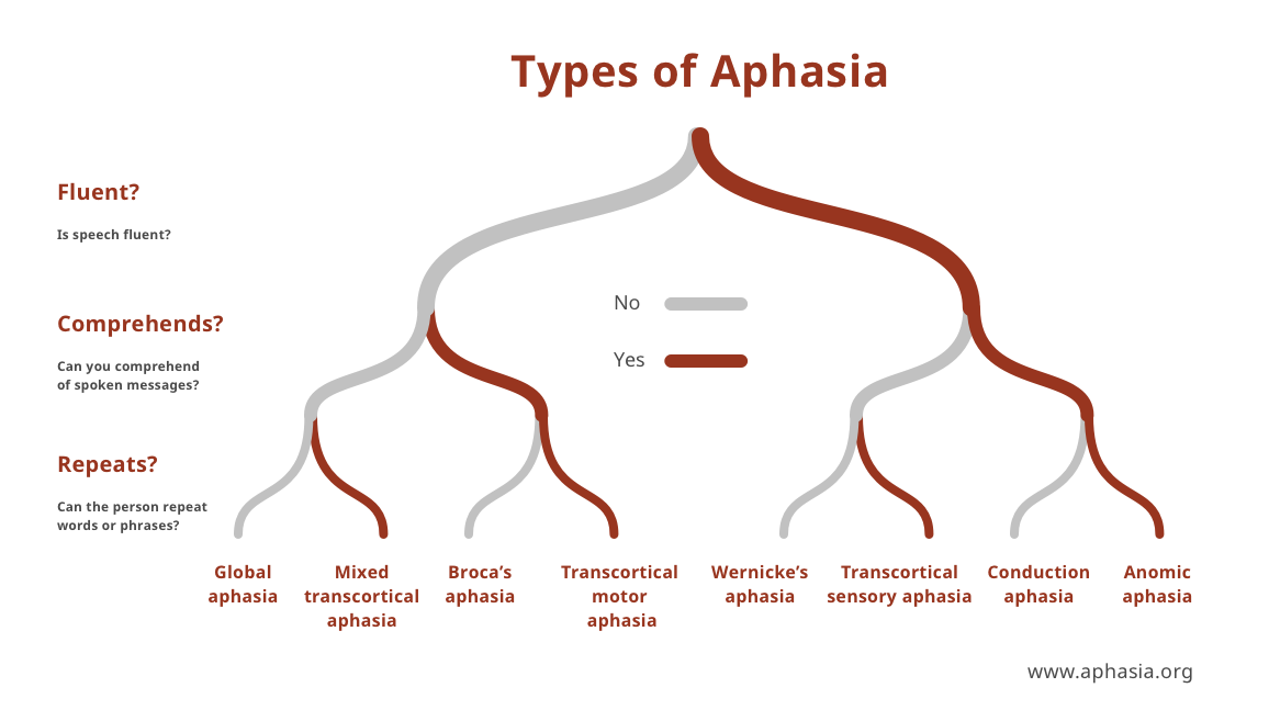 Red and white chart of the different types of aphasia. Type of aphasia is broadly identified by answering yes or no to whether a person can speak, understand speech, and repeat what they hear. Created by the Aphasia Institute.