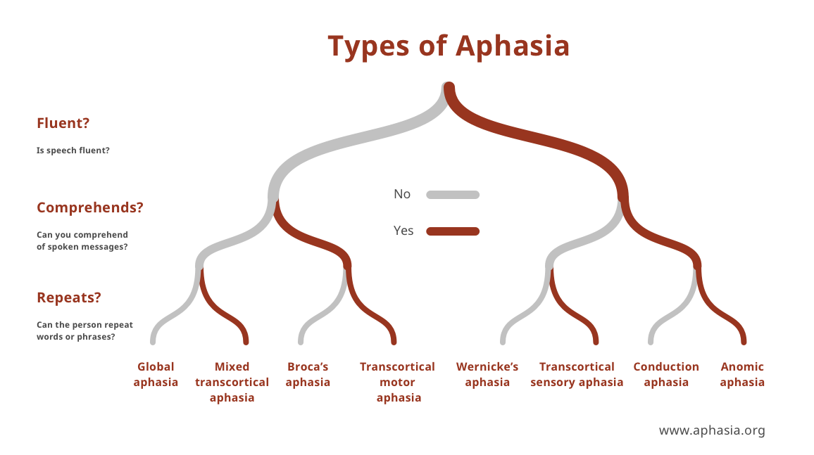 Membedakan Afasia Aphasia Wernicke's, Broca's,, 42% OFF