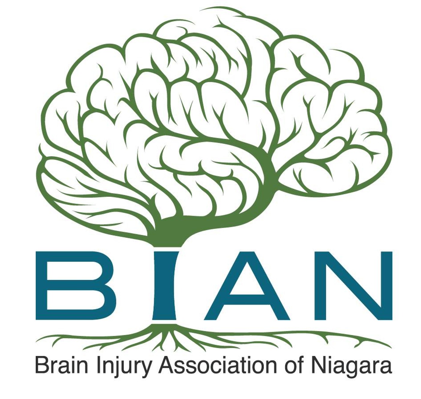 Brain Injury Association of Niagara logo